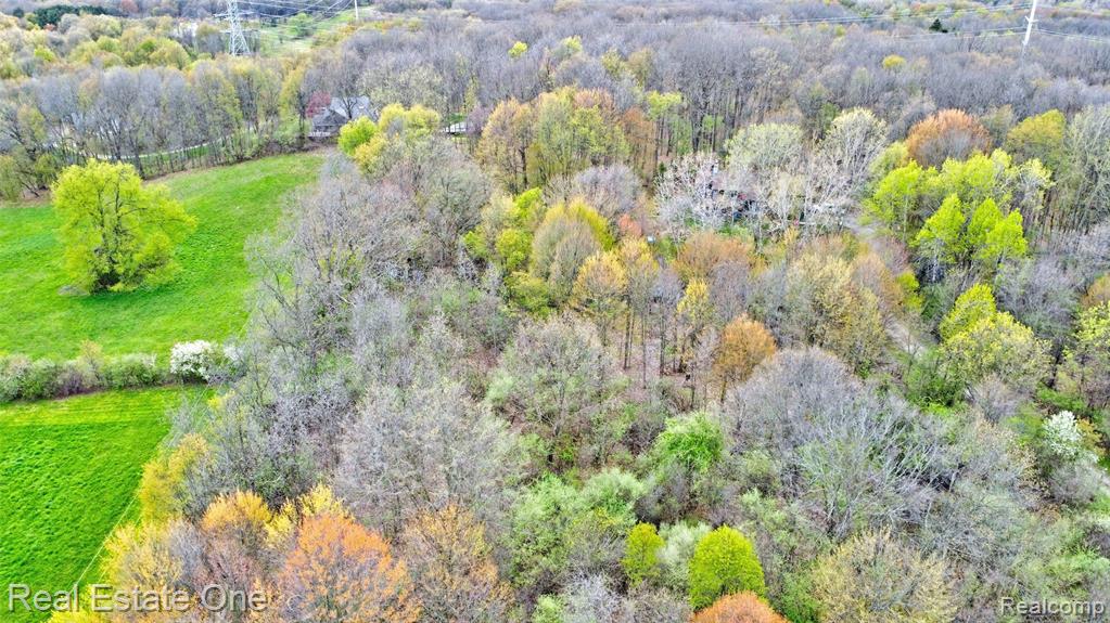 590 Judi Ann Lane, Holly, MI 48442 — Photo 7