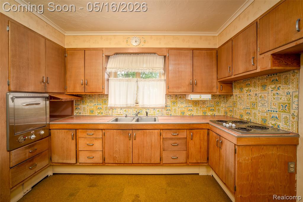 207 N Pine River Street, Ithaca, MI 48847 — Photo 23