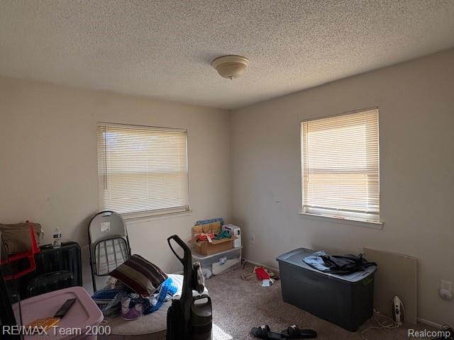 580 Palmerston Street, River Rouge, MI 48218 — Photo 11