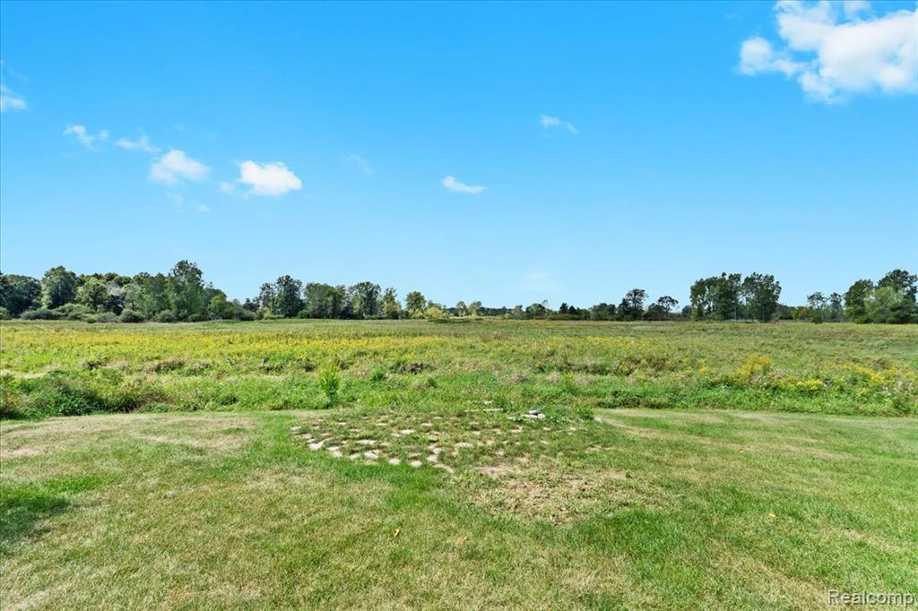 971 RED CEDAR Drive, Howell, MI 48843 — Photo 23