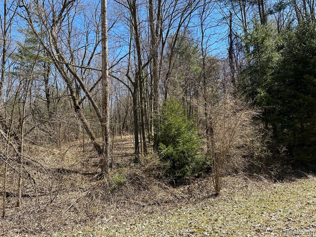 4.23 Acres VL - KNIGHTS BRIDGE Road, Leonard, MI 48367 — Photo 21