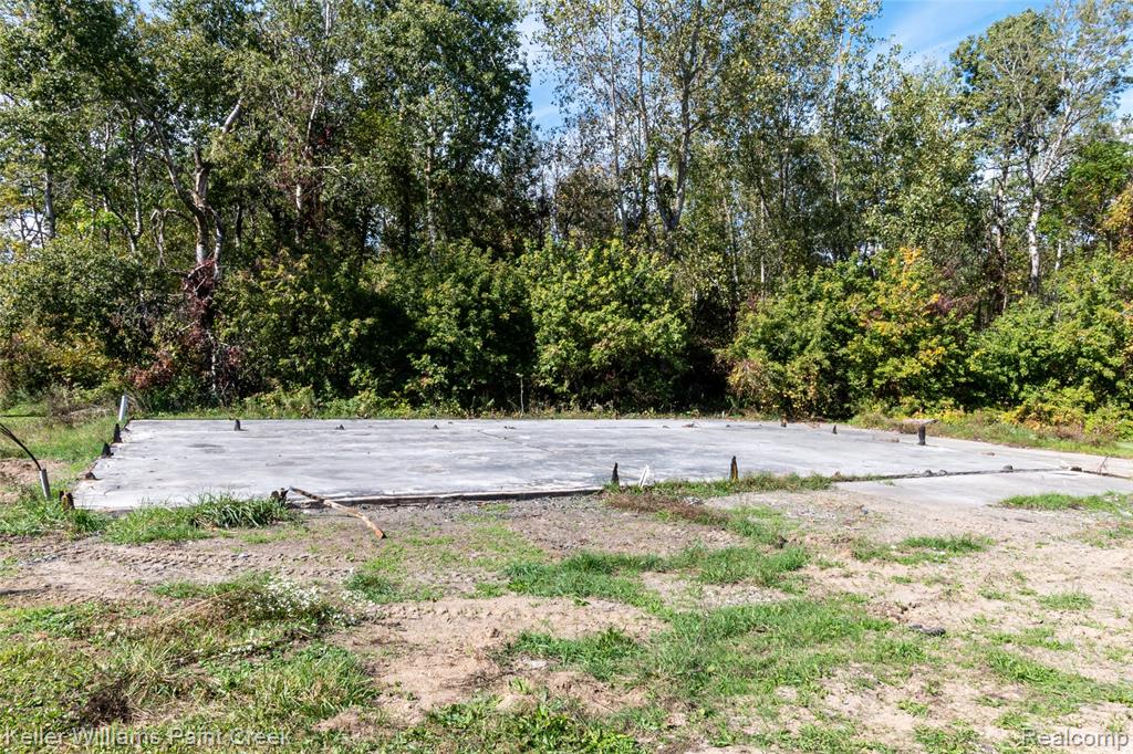 6313 Kelly Road, Cass City, MI 48726 — Photo 8