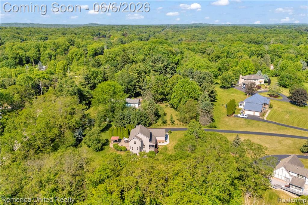 6503 MOUNTVIEW, Brighton, MI 48116 — Photo 65