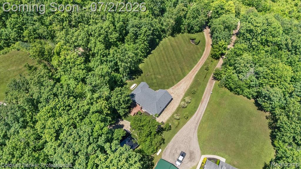 8224 Petz Road, Imlay City, MI 48444 — Photo 31