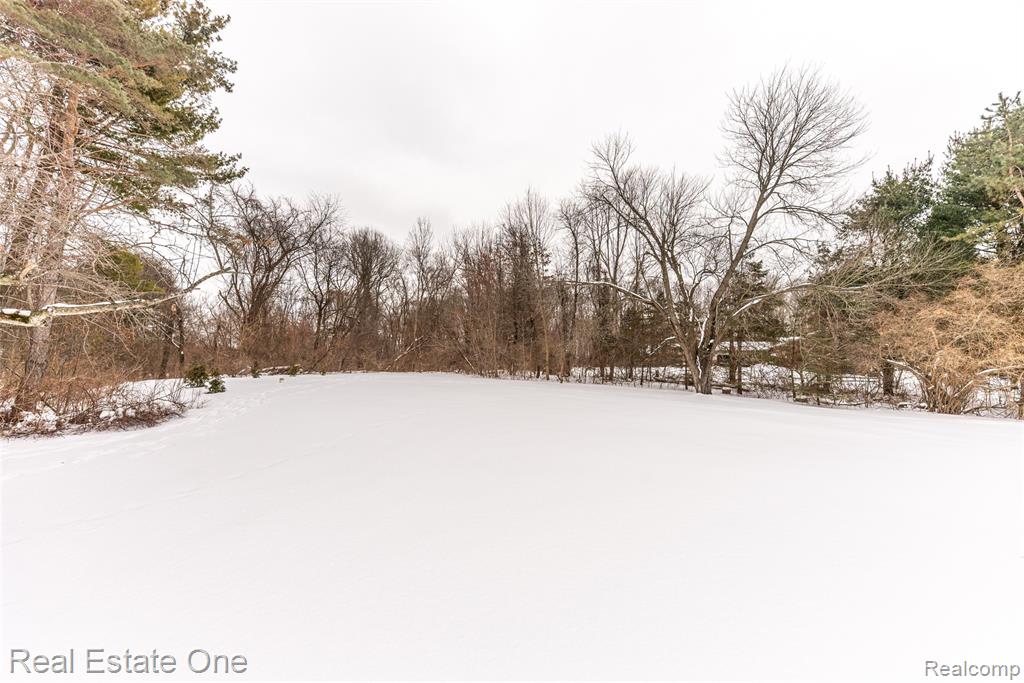 10120 Hyne Road, Brighton, MI 48114 — Photo 5