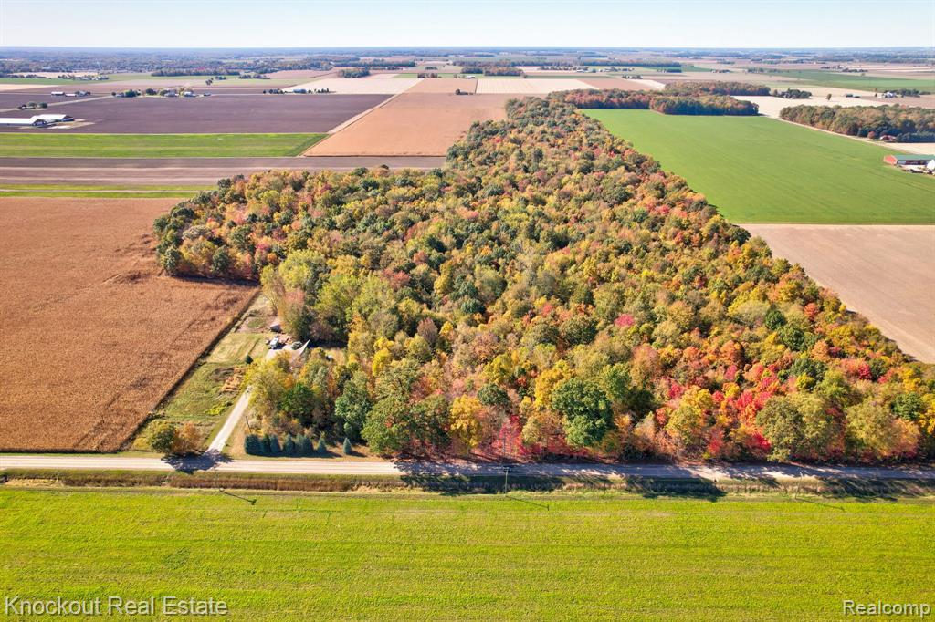4000 S Reese Road, Frankenmuth, MI 48734 — Photo 3