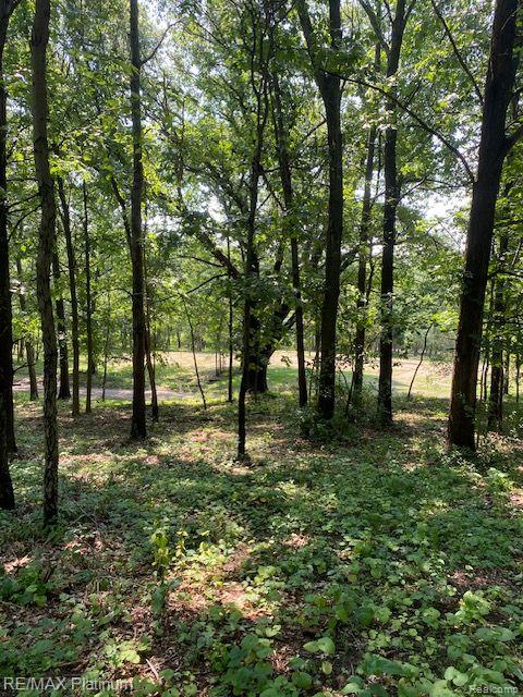 7 Sleaford-Parcel 7 - 2 Acres Road, Howell, MI 48843 — Photo 25