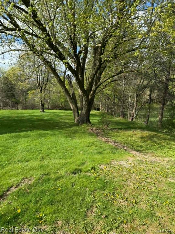 10343 Coolidge Road, Goodrich Vlg, MI — Photo 19