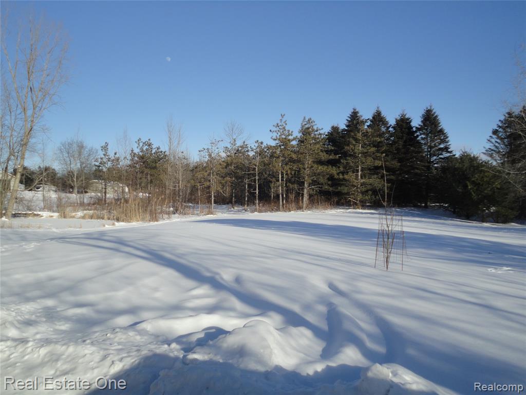 1512 Connell Road, Ortonville, MI 48462 — Photo 4