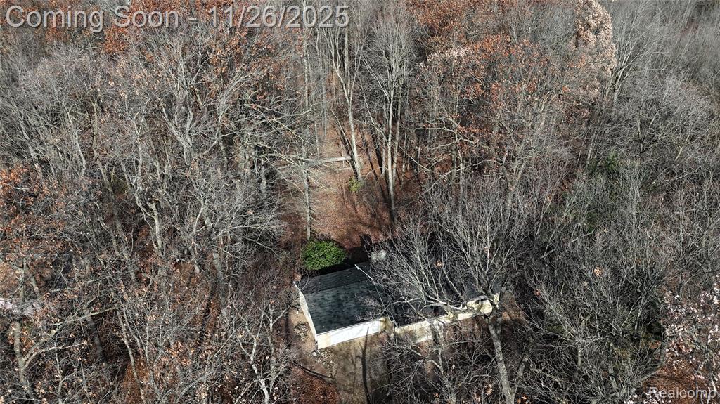 9300 Bath Road, Laingsburg, MI 48848 — Photo 24