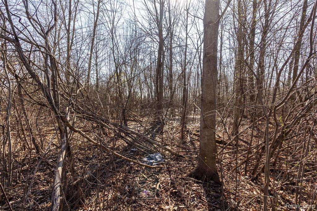 448 Ravencrest Lane, 50, Westland, MI — Photo 40