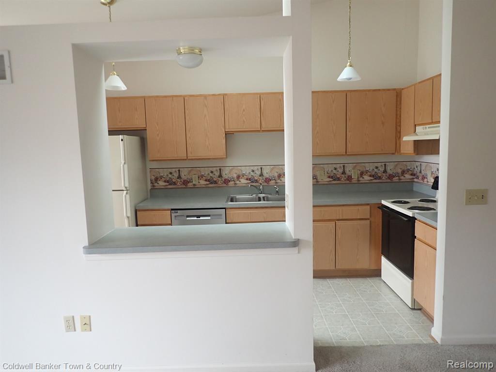 62330 Arlington Circle #3, 3, South Lyon, MI 48178 — Photo 6