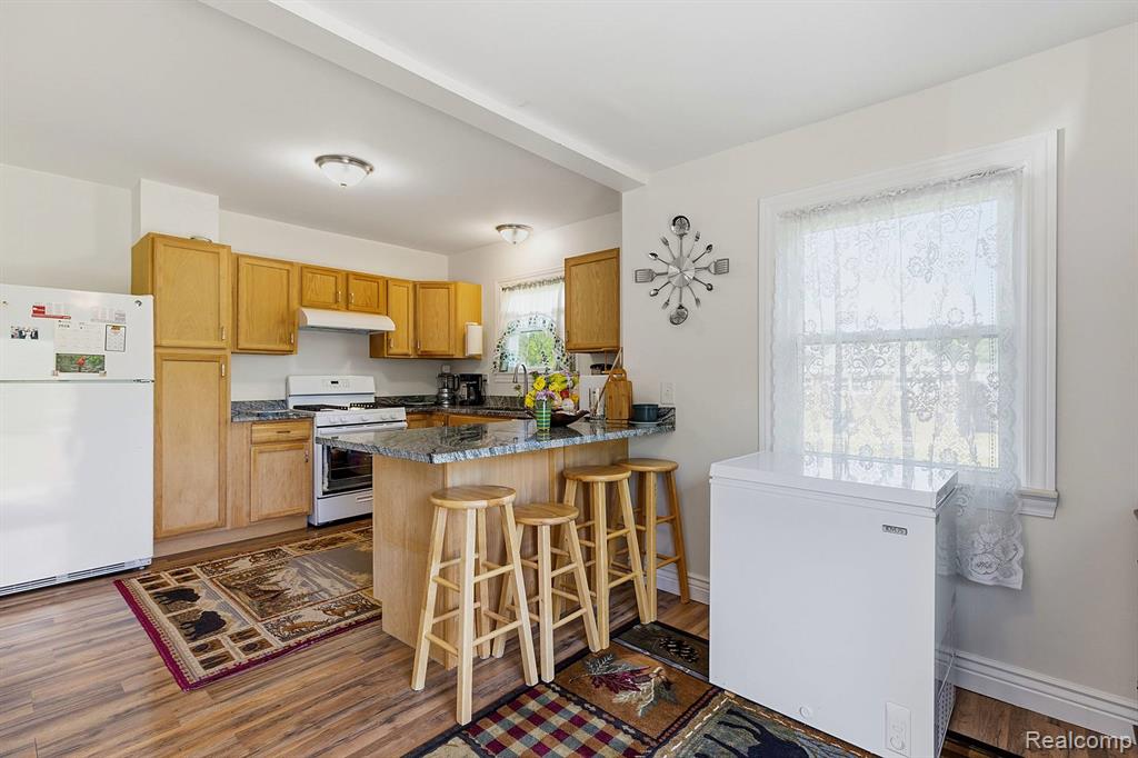 7219 Main, MI — Photo 10