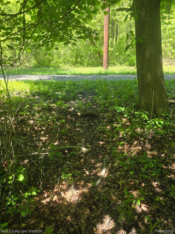 9236 River Road, Algonac, MI 48001 — Photo 29
