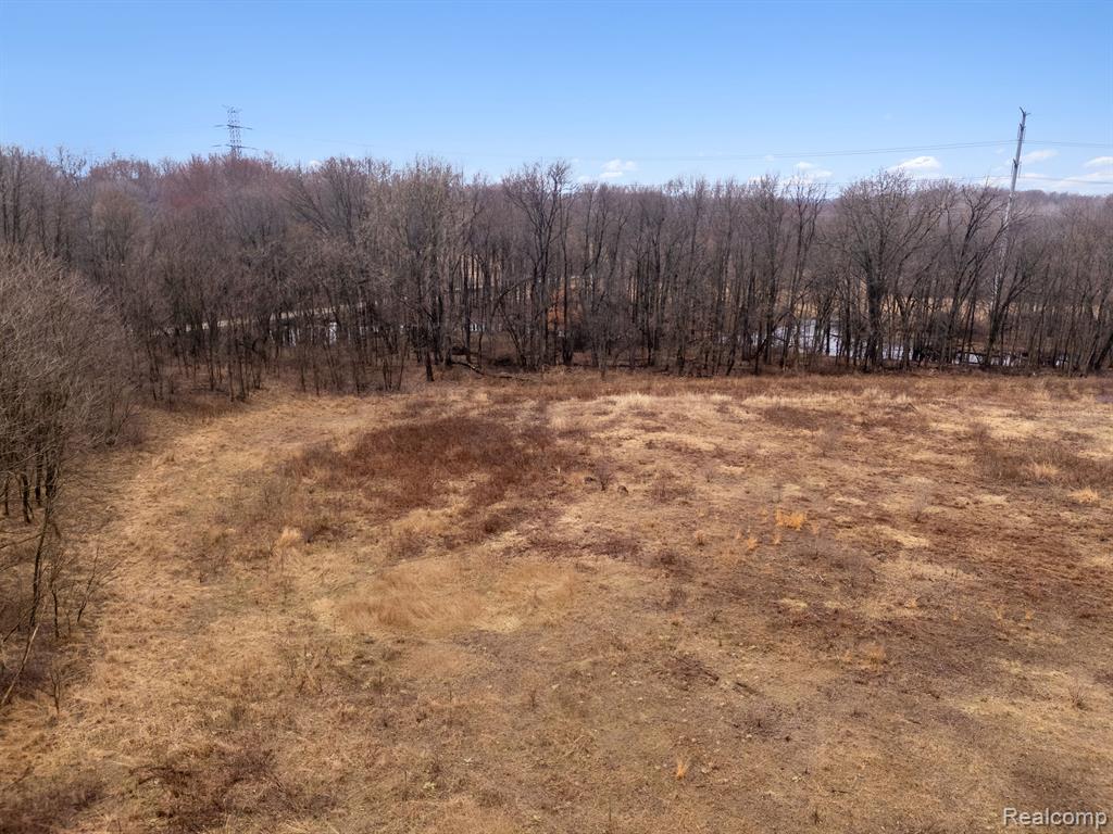 VL W SCHAFER Road, Howell, MI 48843 — Photo 10