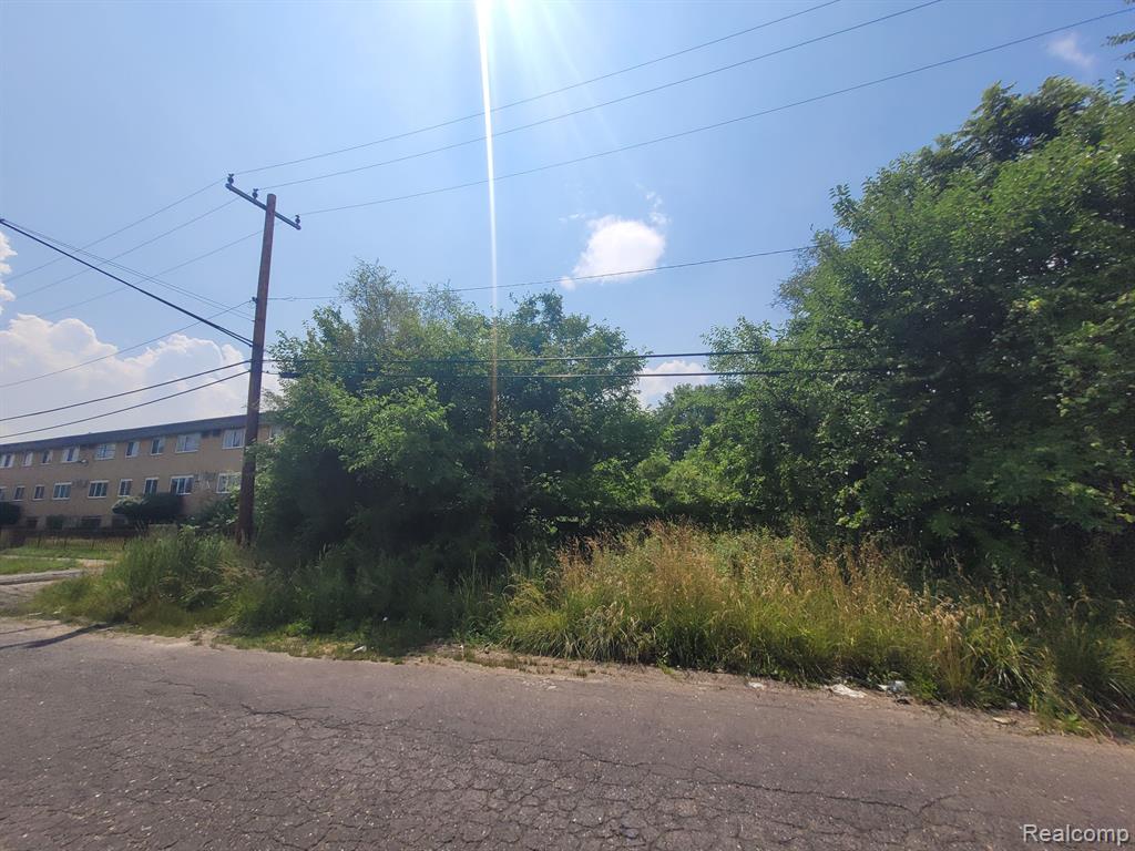 9585 IRIS Street, Detroit, MI 48227 — Photo 11