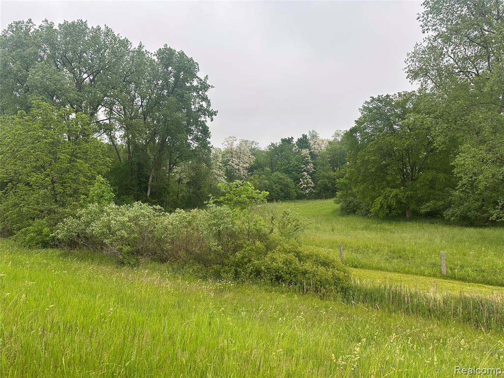 VL Mertz Road, Mayville Vlg, MI 48744 — Photo 10