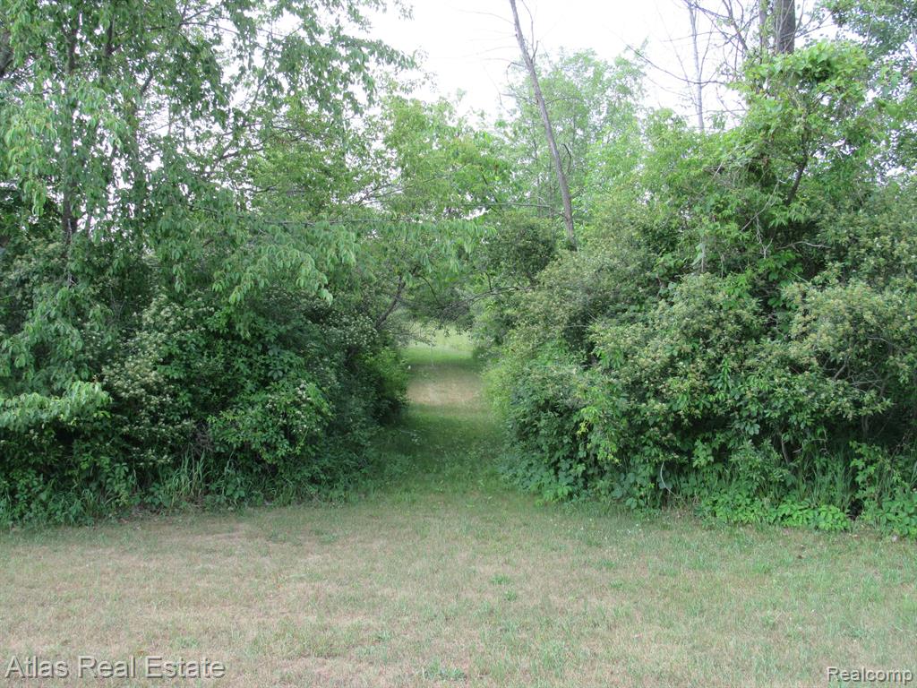 78 W BARNES Road, Fostoria, MI 48435 — Photo 43