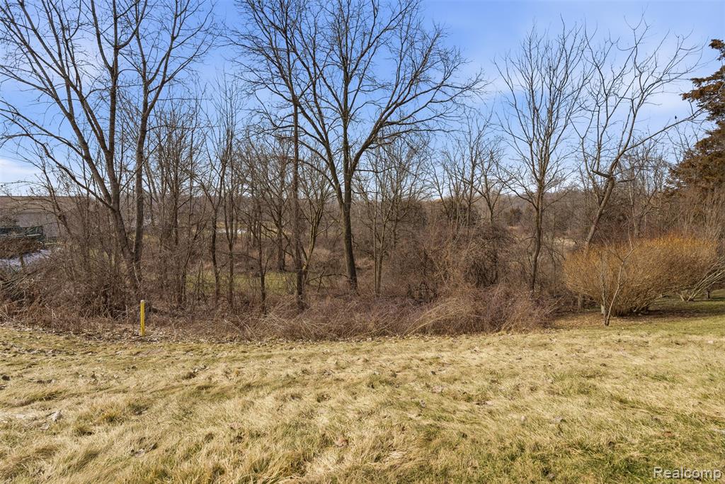11050 Willowgreen Court, South Lyon, MI 48178 — Photo 31
