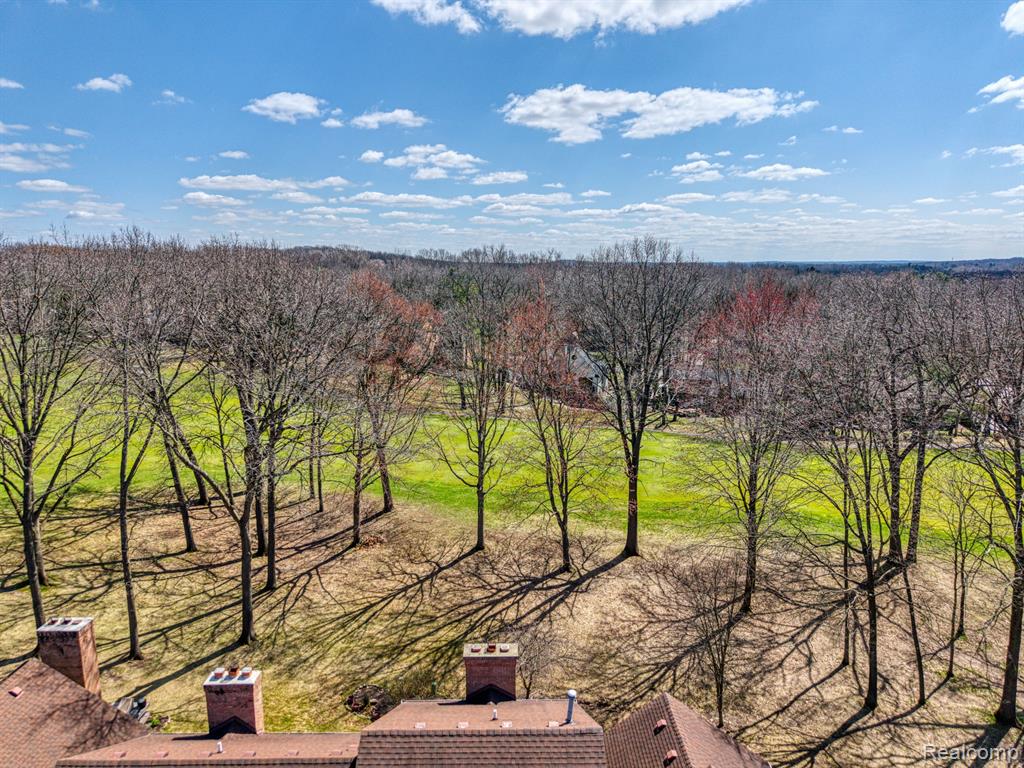4584 GOLF VIEW Drive, Brighton, MI 48116 — Photo 3