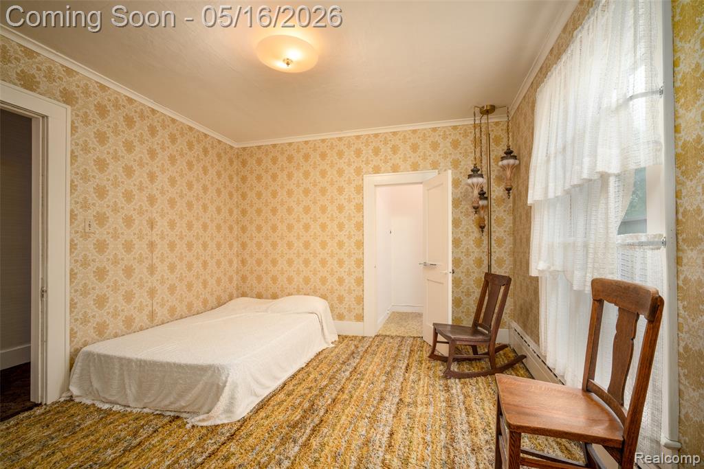 207 N Pine River Street, Ithaca, MI 48847 — Photo 29