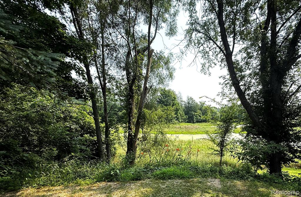 19890 16 Mile Road, Marshall, MI 49068 — Photo 7