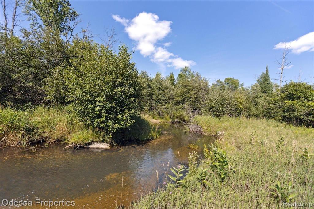 7440 Miller Rd, Whittemore, MI 48770 — Photo 43