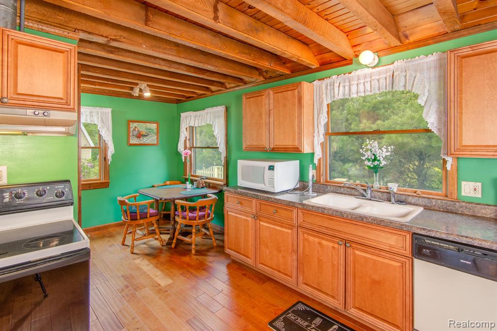 7298 LESTER Street, Lexington, MI 48450 — Photo 11