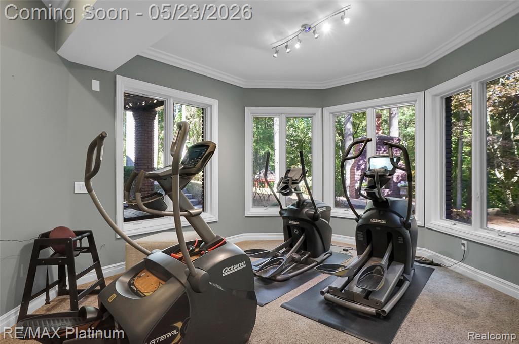 5479 River Ridge Drive, Brighton, MI 48116 — Photo 57