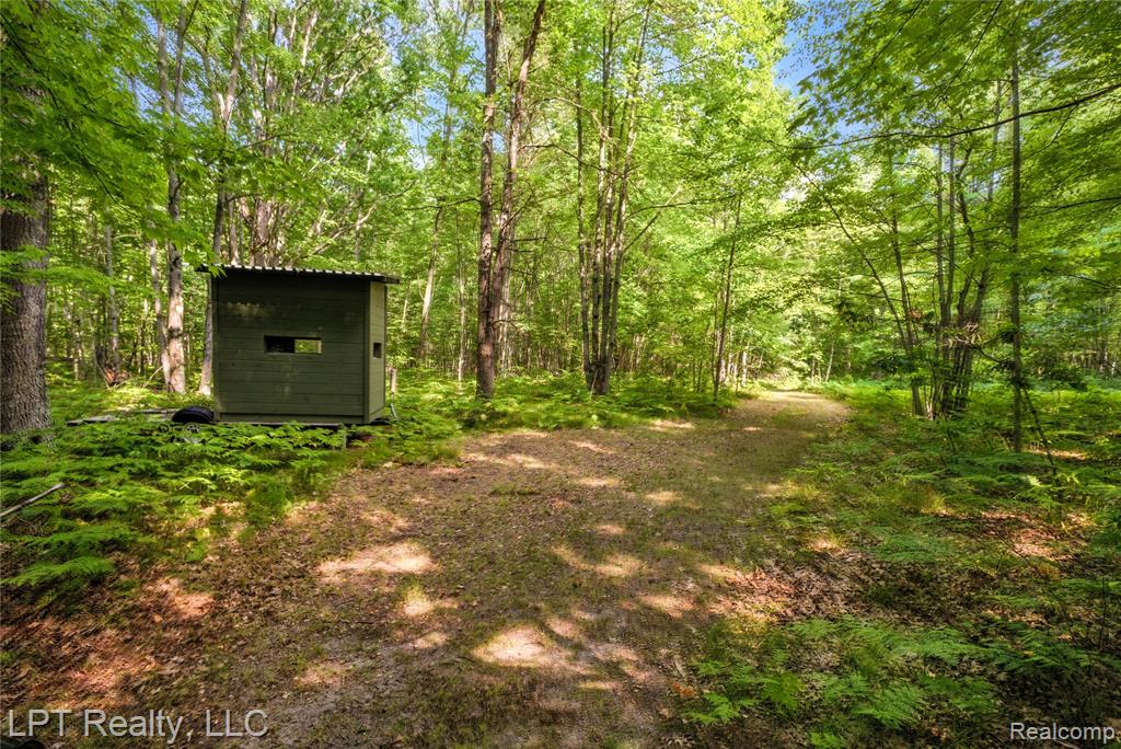 5595 Bringold Avenue, Lincoln, MI 48632 — Photo 2