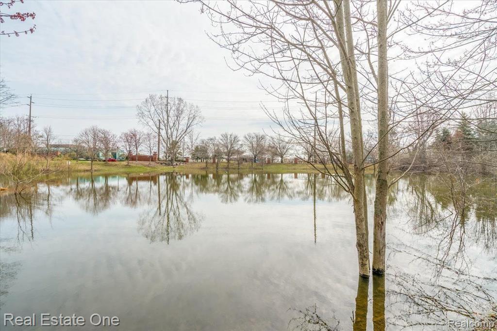 39492 ROCKCREST Lane, Northville, MI 48168 — Photo 6