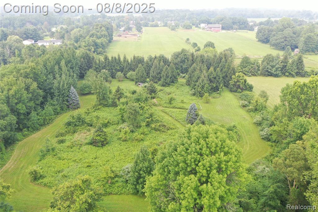 2784 S Blacks Corners Road, Imlay City, MI 48444 — Photo 64