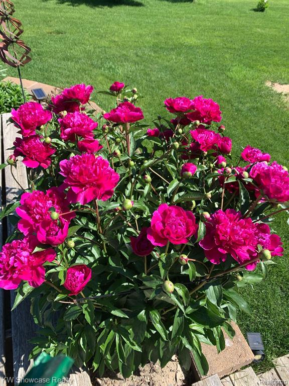 4594 CLIFFORD Road, Brighton, MI 48116 — Photo 51
