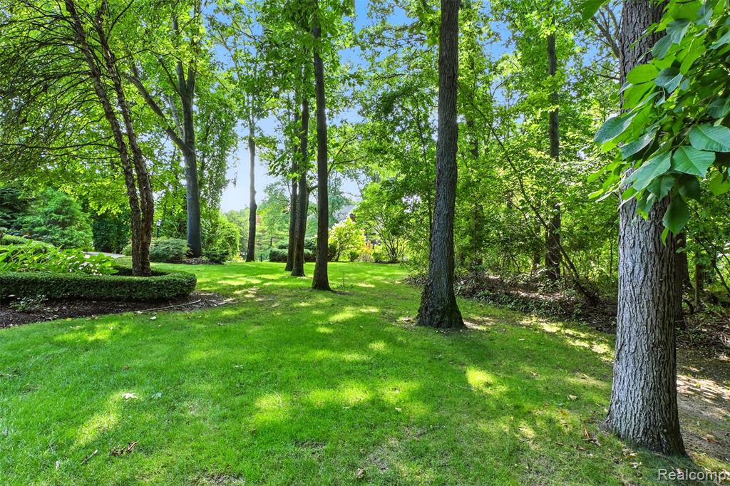 6228 Windemere Point, Brighton, MI 48116 — Photo 46