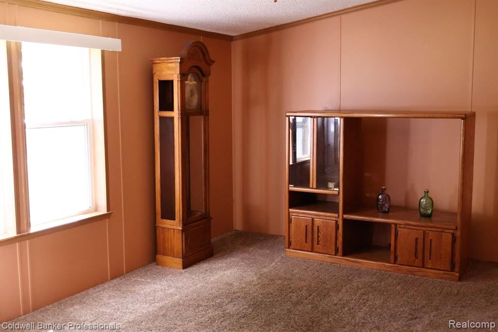 8523 TURNER Road, Imlay City, MI 48444 — Photo 13