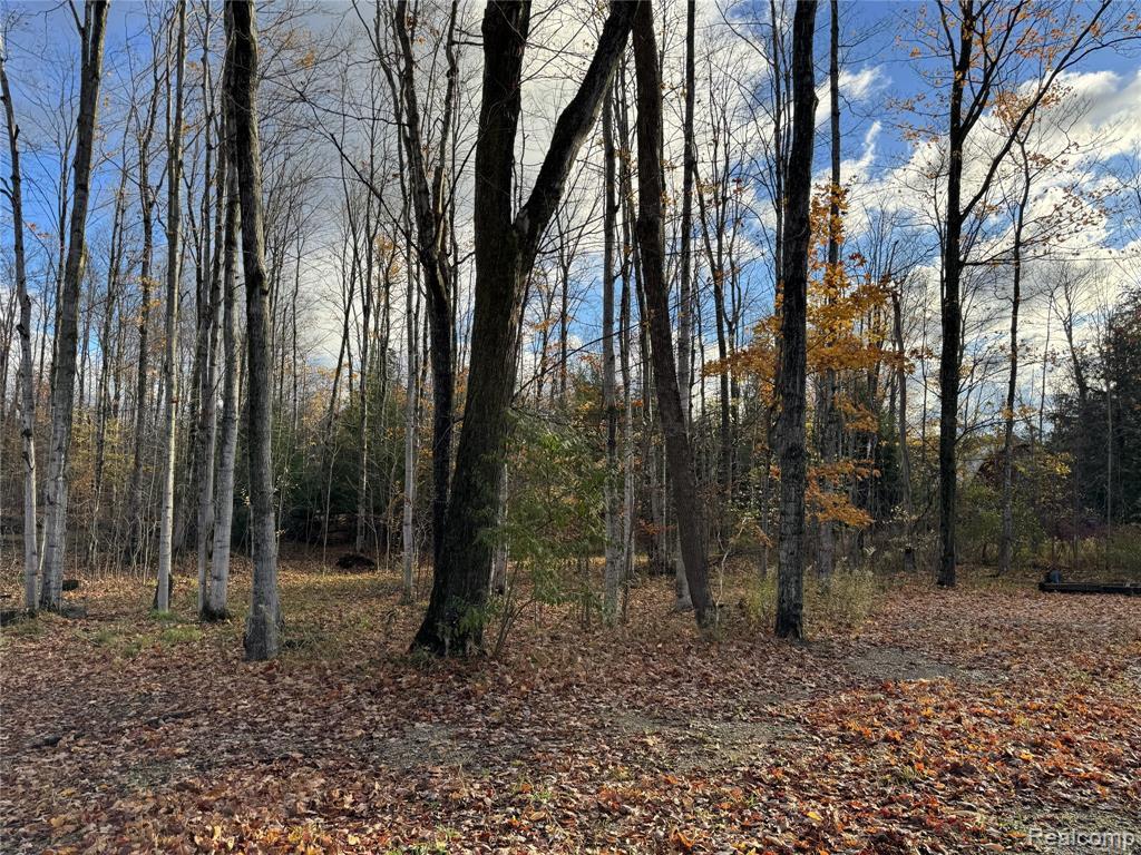 2446 Spayde Road, Charlevoix, MI 49720 — Photo 35