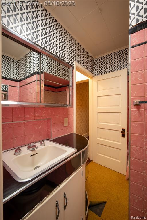 207 N Pine River Street, Ithaca, MI 48847 — Photo 25