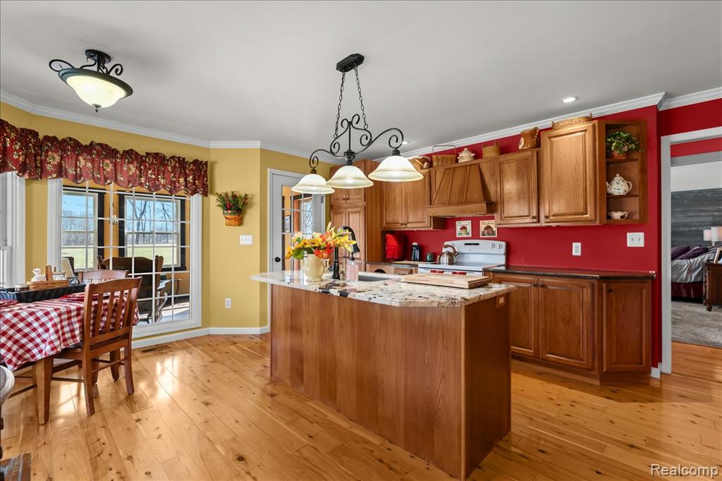 80442 WOODRIDGE Lane, Romeo, MI 48065 — Photo 8