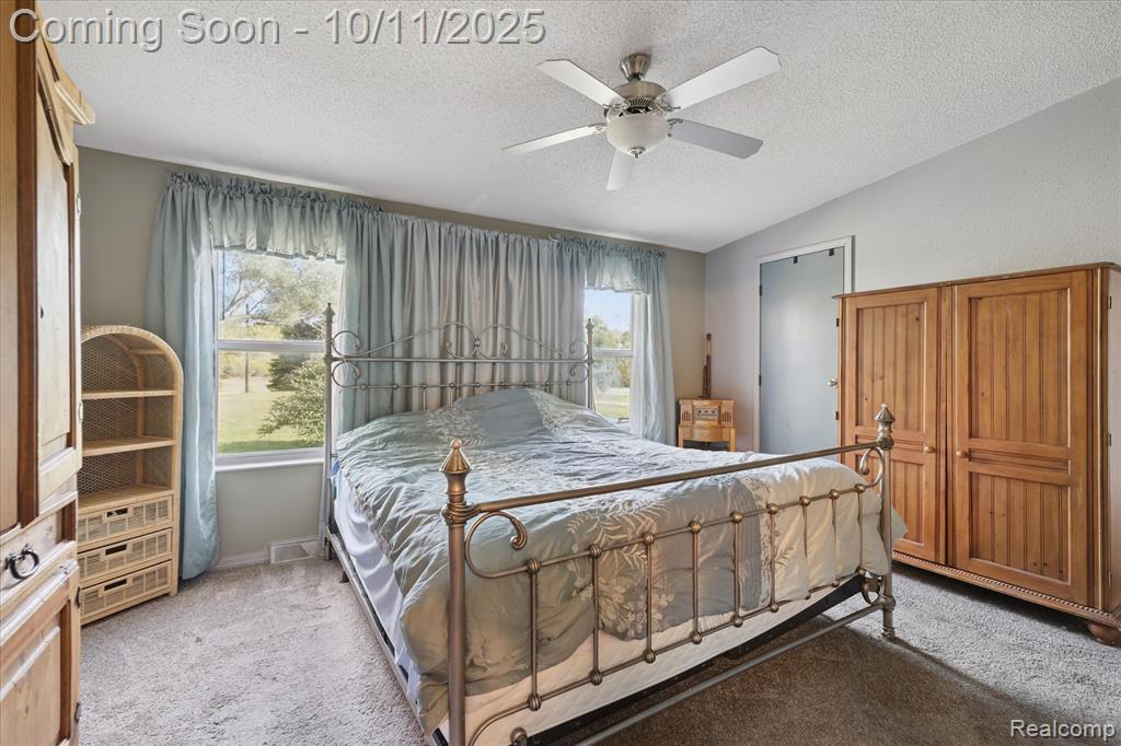 8168 Morrish Road, Swartz Creek, MI 48473 — Photo 19