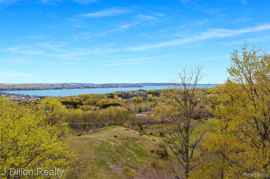 Lot 16 Wild Laurel Lane, Beulah, MI 49617 — Photo 8