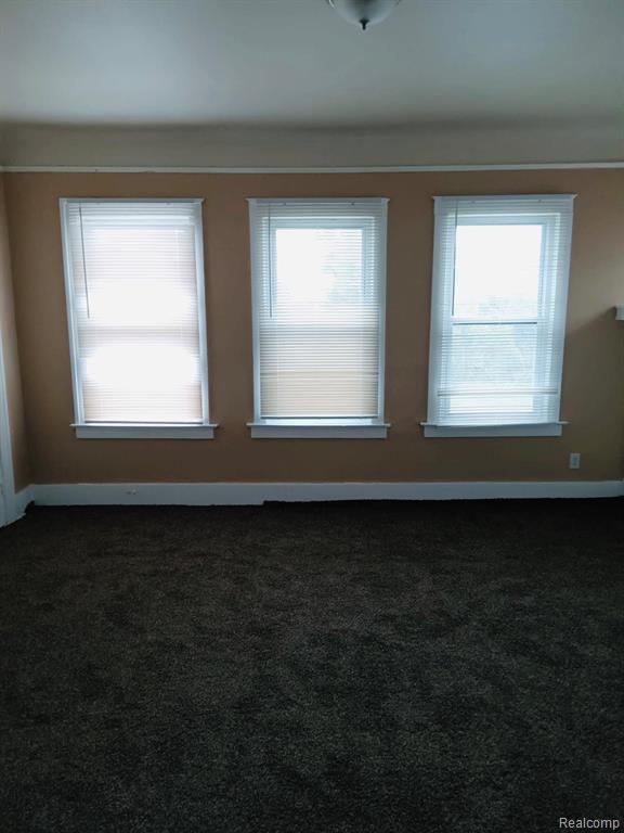 4215 DICKERSON Street, Detroit, MI 48215 — Photo 7