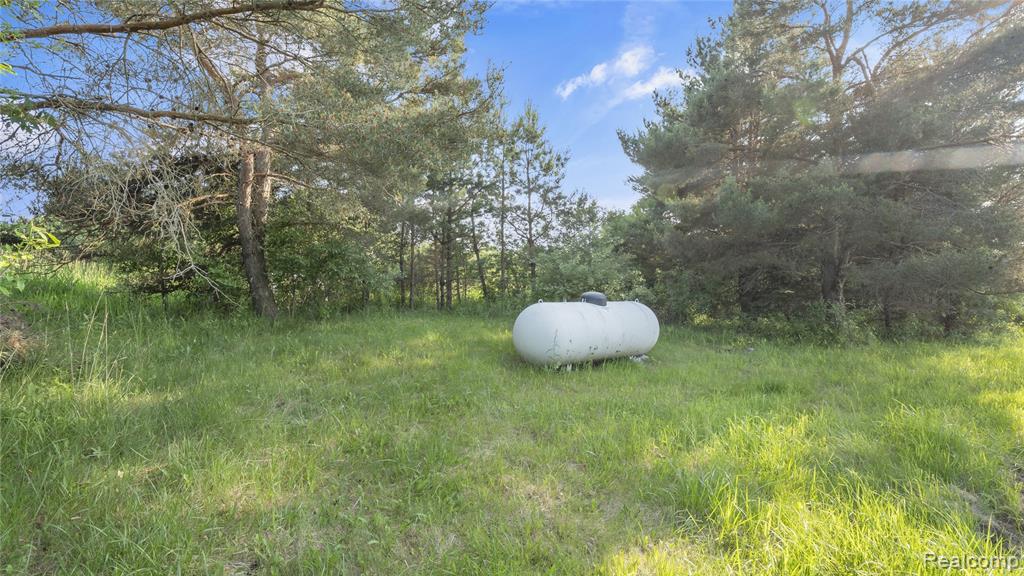 5050 Burton Road, Capac, MI 48014 — Photo 63