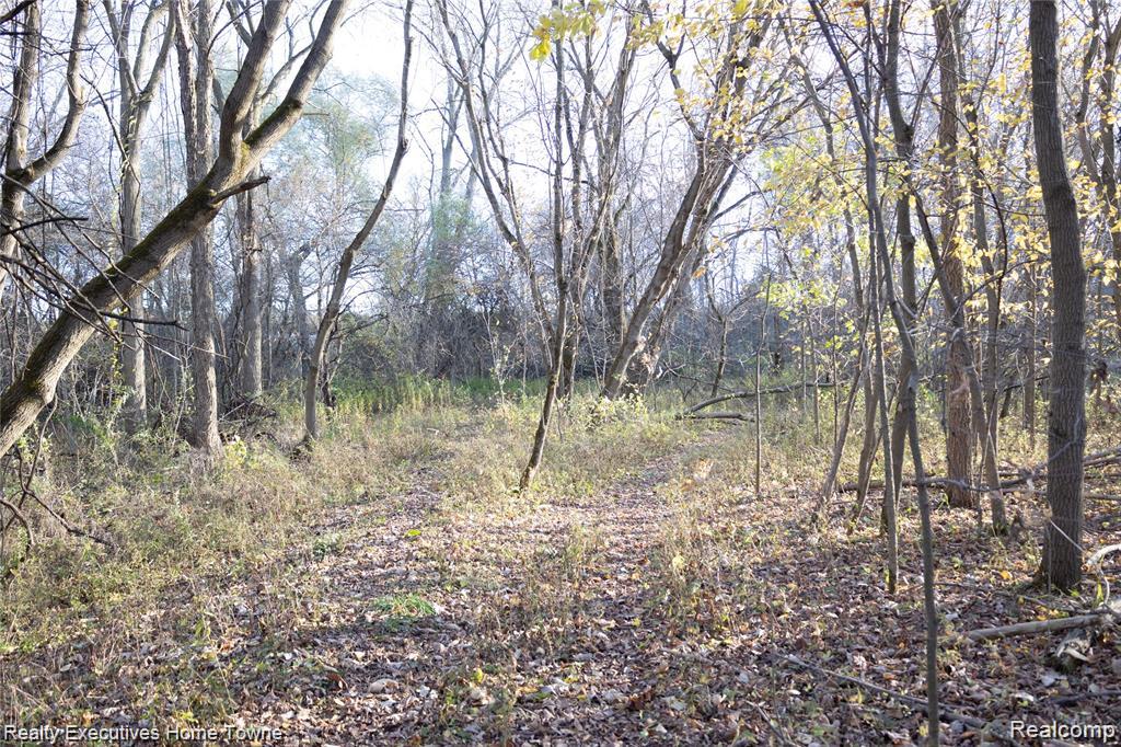 4683 Jeddo Rd Road, Fort Gratiot, MI 48059 — Photo 22