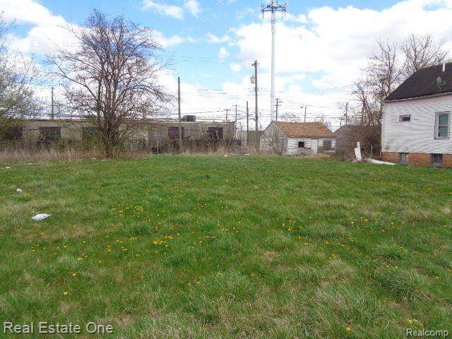 11676 SAINT LOUIS Street, Hamtramck, MI 48212 — Photo 3
