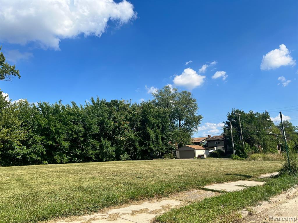 2081 VIRGINIA PARK Street, Detroit, MI 48206 — Photo 3