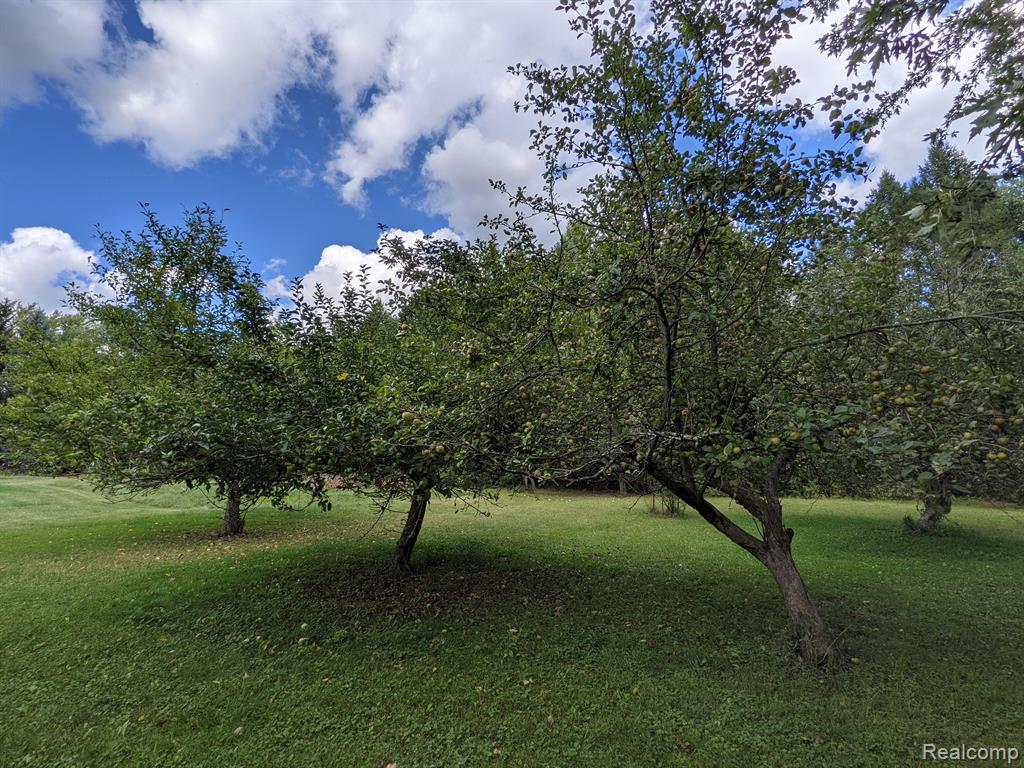 370 N YOUNGS Road, Attica, MI 48412 — Photo 21