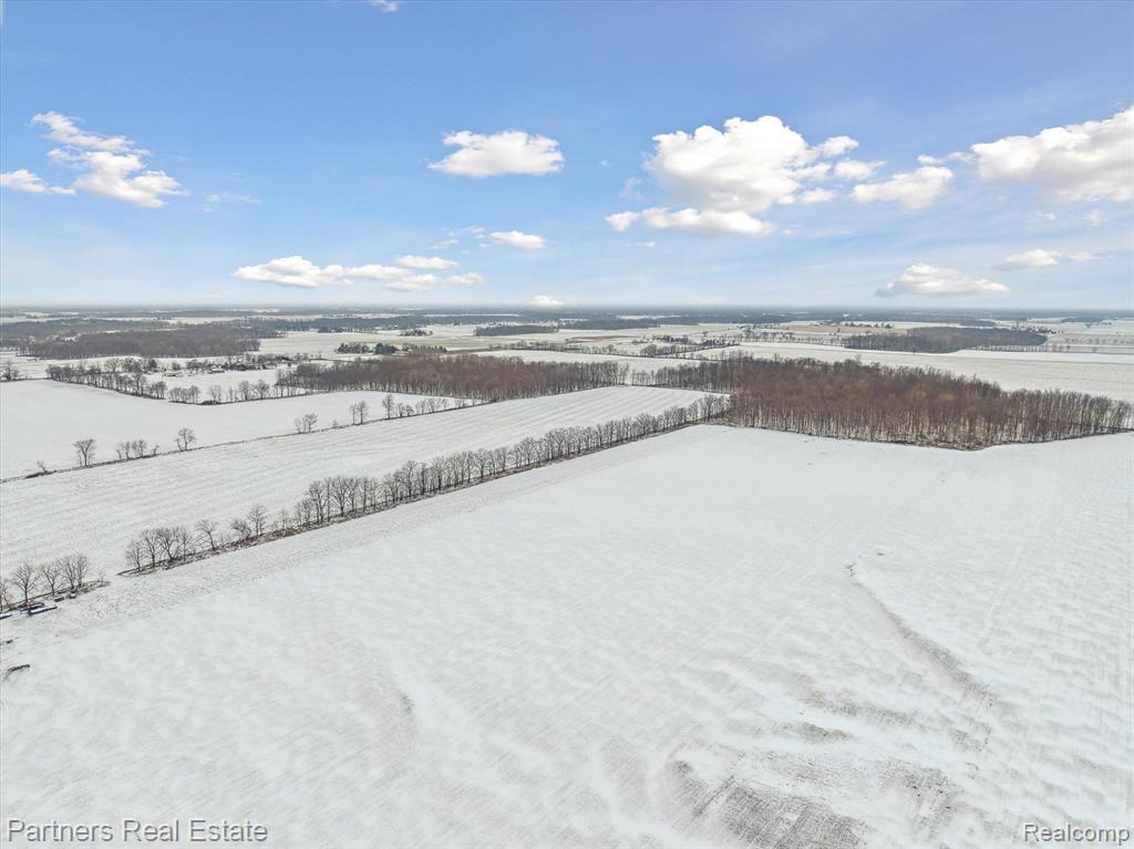 3349 E Howell Road, Webberville, MI 48892 — Photo 56
