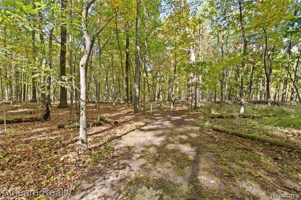 12471 Vernon Road, Bancroft, MI 48414 — Photo 25