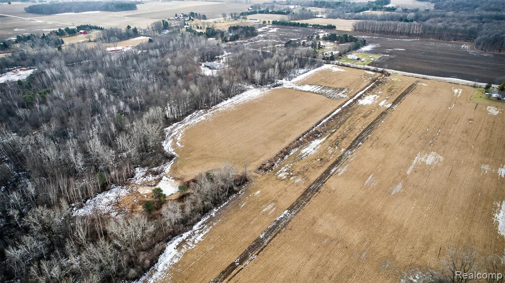 40 Acres Irish Rd, Millington, MI 48746 — Photo 6