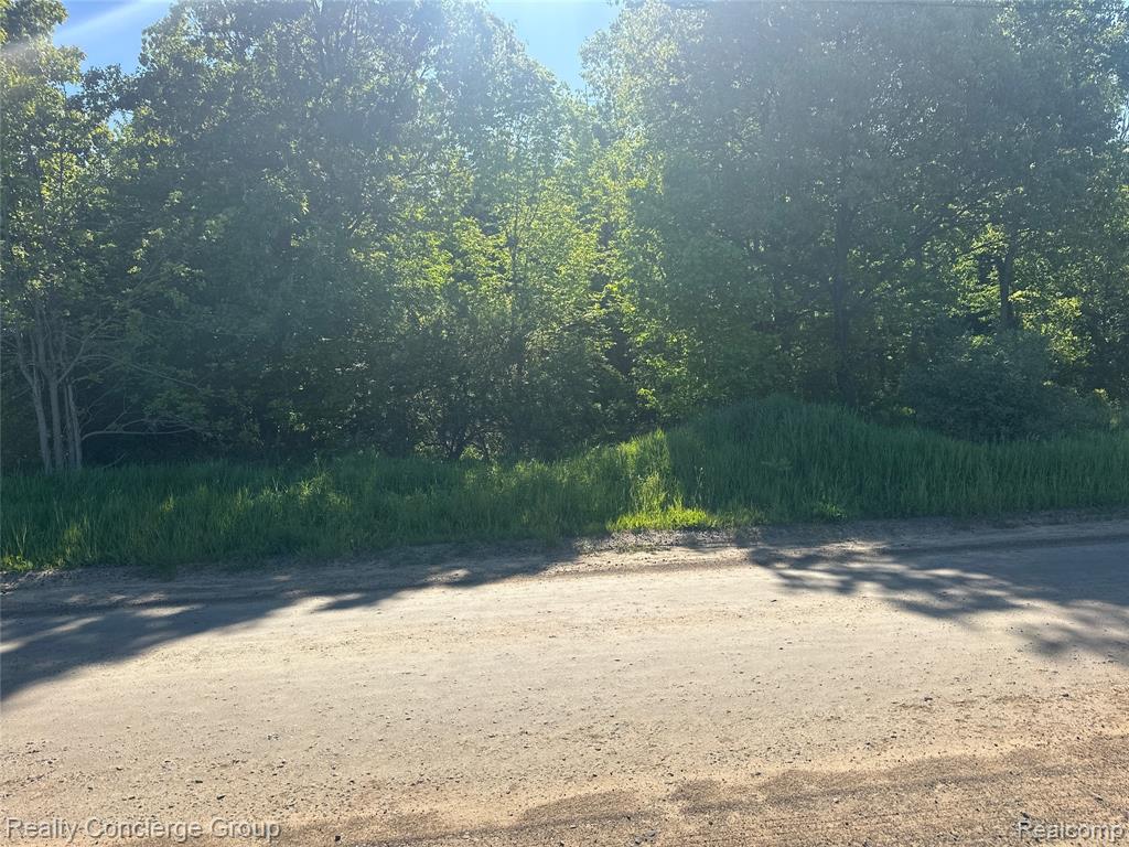 2681 Fisk Road, Howell, MI 48843 — Photo 9